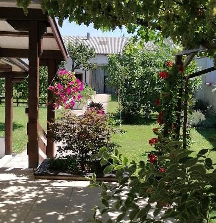 Ferienwohnung Maks Und Kris Sankt Andrä bei Frauenkirchen Εξωτερικό φωτογραφία